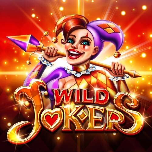 Wild Joker Gambling Enterprise Testimonial: Our Decision