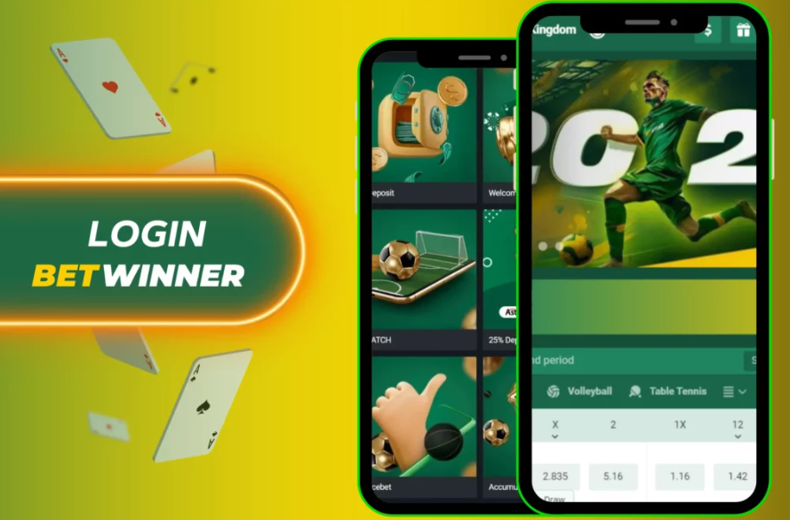 Experience the Thrill of Gaming at Betwinner Casino